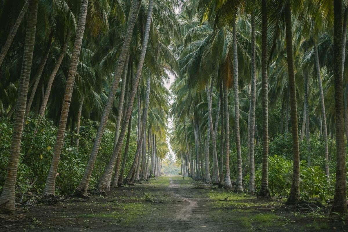 Reveries Maldives Gan  Extérieur photo